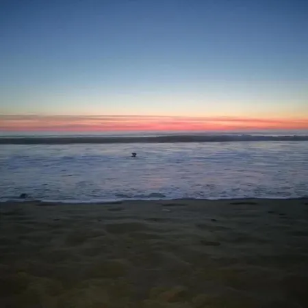 Alluring In The Of Ocean * カルカン